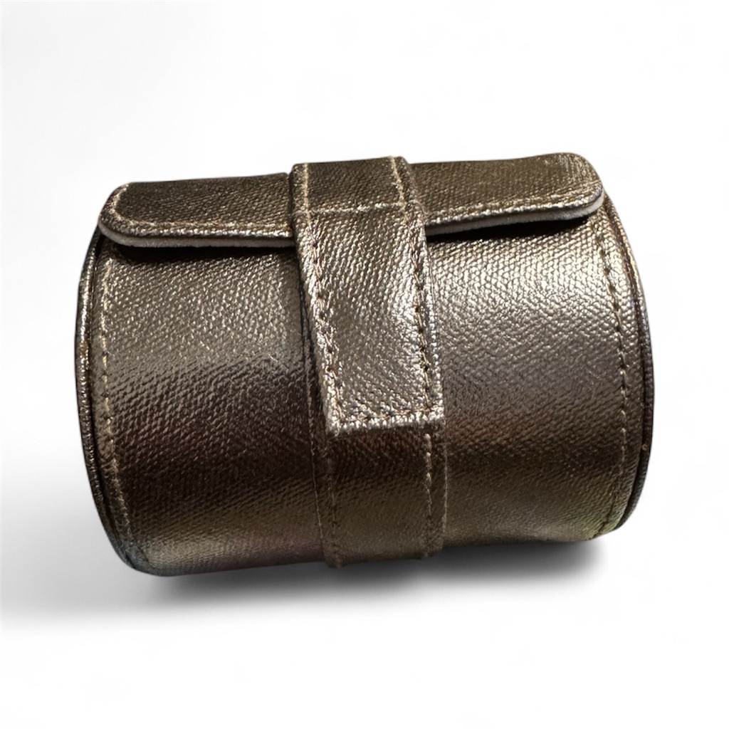Metallic Brown Leather Watch Travel Case